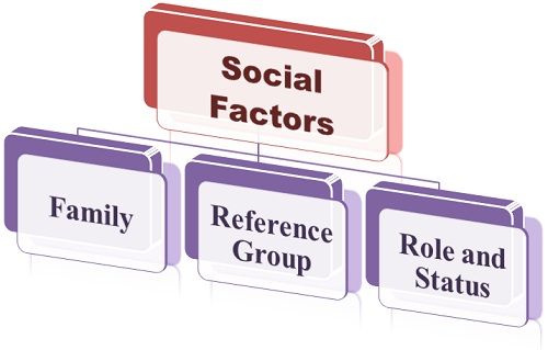 Factores sociales que influyen en el comportamiento del consumidor