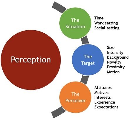 factores que afectan la percepción