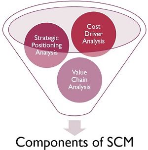 componentes de SCM